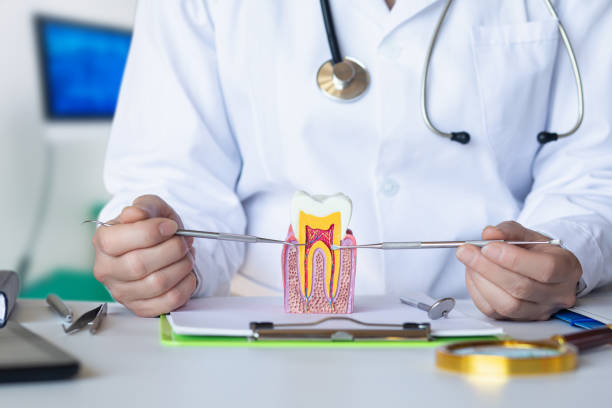 Best Emergency Dental Extractions in Pinehurst, TX